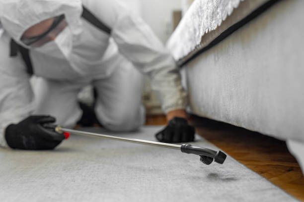 Professional Bed Bug Control technician working in Riverside, IL
